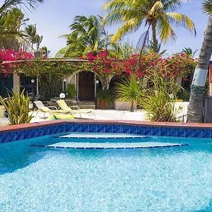  Appartement Beach House Aruba Apartments